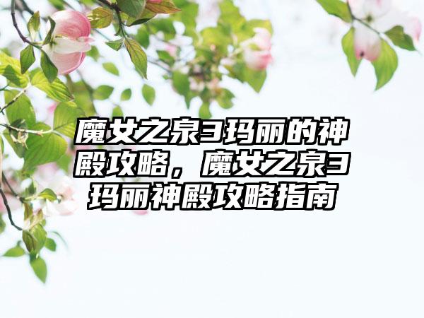 魔女之泉3玛丽的神殿攻略，魔女之泉3玛丽神殿攻略指南