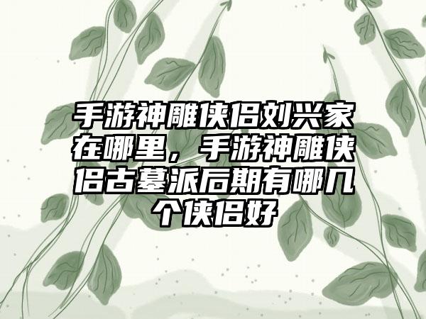 手游神雕侠侣刘兴家在哪里，手游神雕侠侣古墓派后期有哪几个侠侣好
