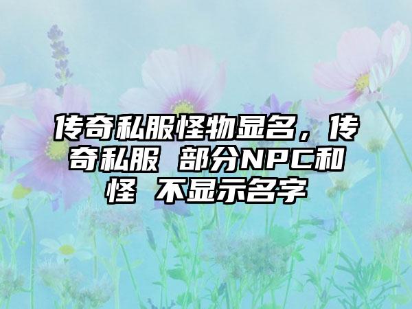 传奇私服怪物显名，传奇私服 部分NPC和怪 不显示名字
