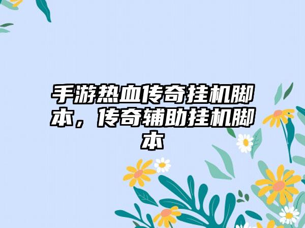 手游热血传奇挂机脚本，传奇辅助挂机脚本
