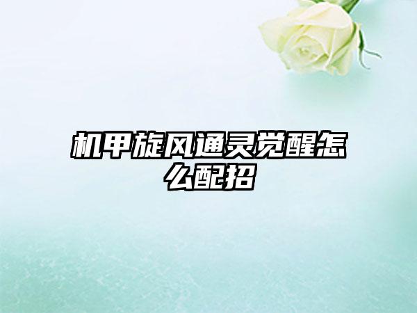 机甲旋风通灵觉醒怎么配招