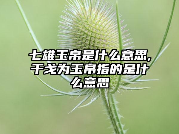 七雄玉帛是什么意思,干戈为玉帛指的是什么意思