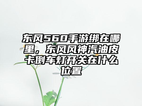 东风560手游绑在哪里，东风风神汽油皮卡倒车灯开关在什么位置