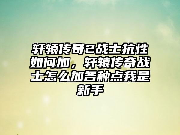 轩辕传奇2战士抗性如何加，轩辕传奇战士怎么加各种点我是新手