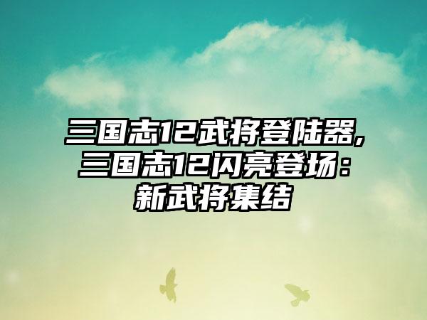 三国志12武将登陆器,三国志12闪亮登场：新武将集结