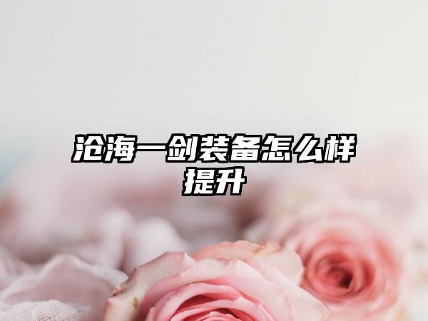 沧海一剑装备怎么样提升