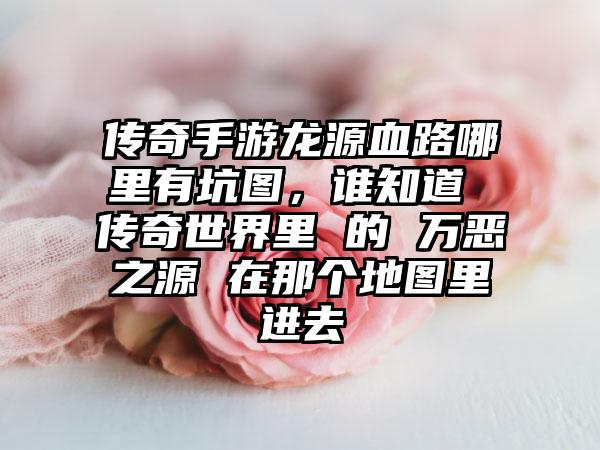 传奇手游龙源血路哪里有坑图，谁知道 传奇世界里 的 万恶之源 在那个地图里进去