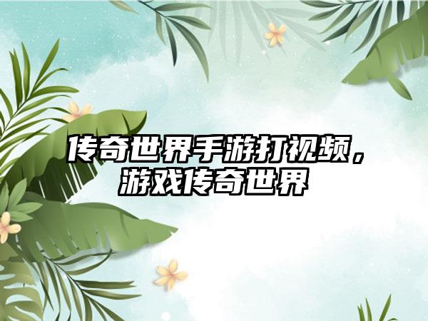 传奇世界手游打视频，游戏传奇世界