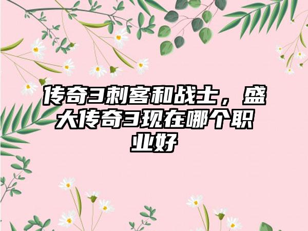 传奇3刺客和战士，盛大传奇3现在哪个职业好