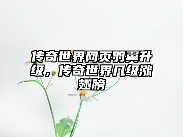 传奇世界网页羽翼升级，传奇世界几级涨翅膀
