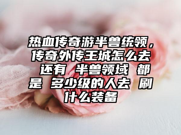热血传奇游半兽统领，传奇外传王城怎么去 还有 半兽领域 都是 多少级的人去 刷什么装备