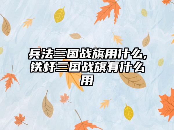 兵法三国战旗用什么,铁杆三国战旗有什么用