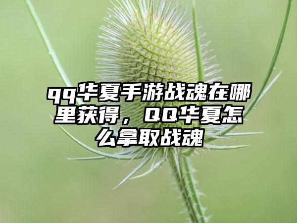 qq华夏手游战魂在哪里获得，QQ华夏怎么拿取战魂
