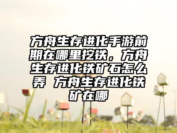 方舟生存进化手游前期在哪里挖铁，方舟生存进化铁矿石怎么弄 方舟生存进化铁矿在哪