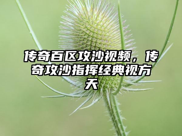 传奇百区攻沙视频，传奇攻沙指挥经典视方天