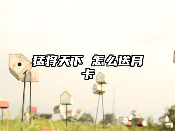 猛将天下 怎么送月卡