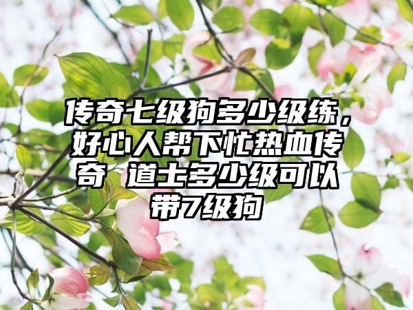 传奇七级狗多少级练，好心人帮下忙热血传奇 道士多少级可以带7级狗