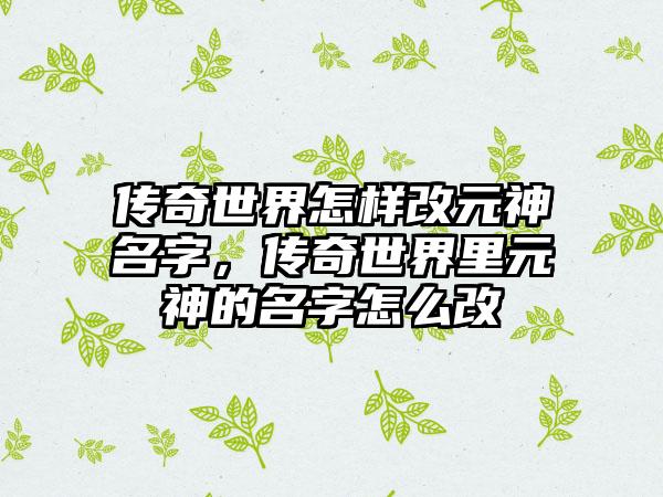 传奇世界怎样改元神名字，传奇世界里元神的名字怎么改