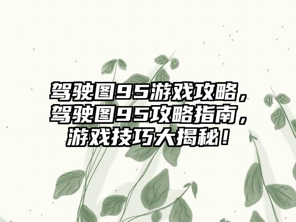 驾驶图95游戏攻略，驾驶图95攻略指南，游戏技巧大揭秘！