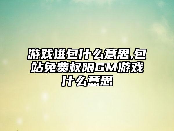 游戏进包什么意思,包站免费权限GM游戏什么意思