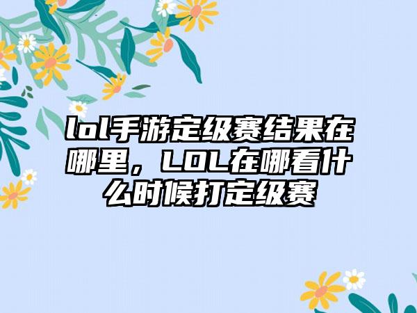lol手游定级赛结果在哪里，LOL在哪看什么时候打定级赛