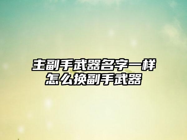主副手武器名字一样怎么换副手武器