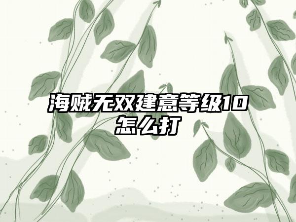 海贼无双建意等级10怎么打