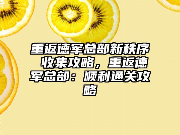 重返德军总部新秩序 收集攻略，重返德军总部：顺利通关攻略
