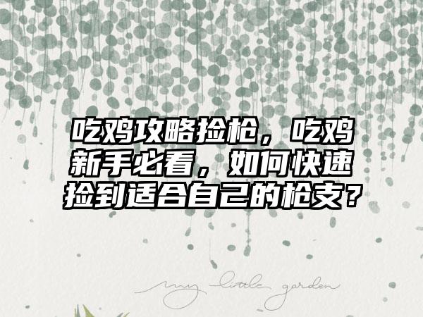 吃鸡攻略捡枪，吃鸡新手必看，如何快速捡到适合自己的枪支？