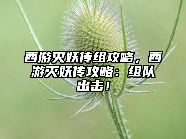 西游灭妖传组攻略，西游灭妖传攻略：组队出击！