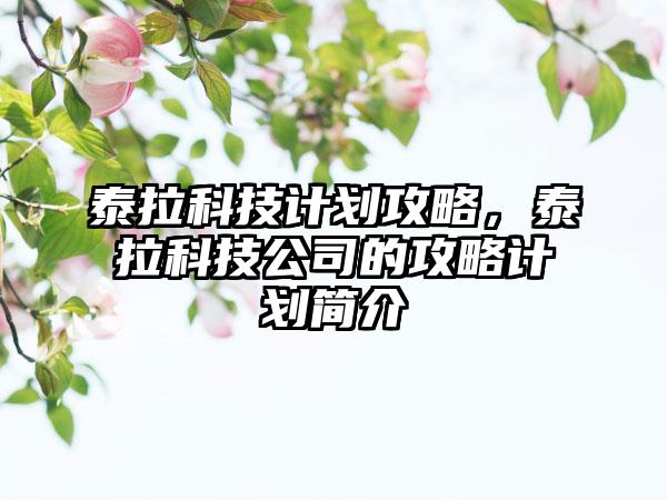 泰拉科技计划攻略，泰拉科技公司的攻略计划简介