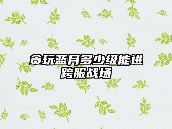 贪玩蓝月多少级能进跨服战场