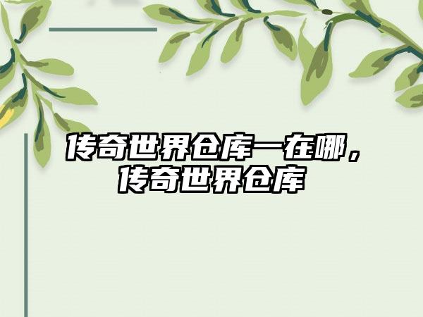 传奇世界仓库一在哪，传奇世界仓库