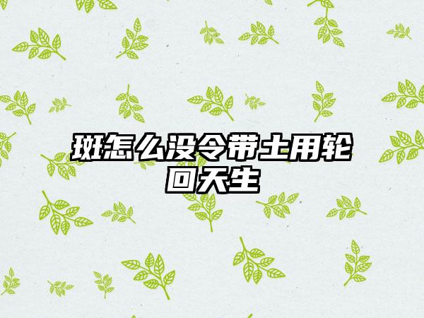 斑怎么没令带土用轮回天生