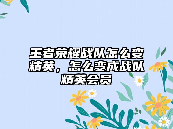 王者荣耀战队怎么变精英，怎么变成战队精英会员