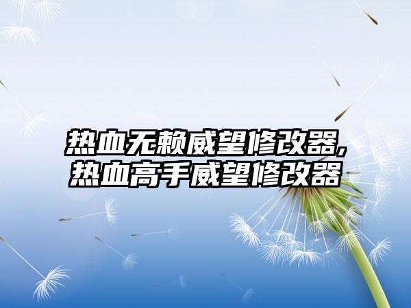 热血无赖威望修改器,热血高手威望修改器