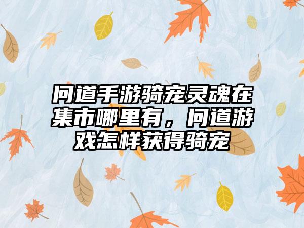 问道手游骑宠灵魂在集市哪里有，问道游戏怎样获得骑宠