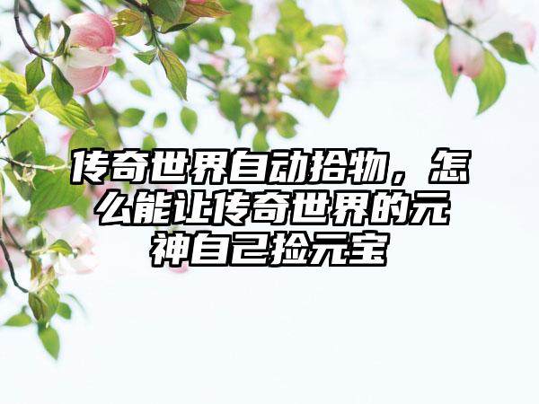 传奇世界自动拾物，怎么能让传奇世界的元神自己捡元宝