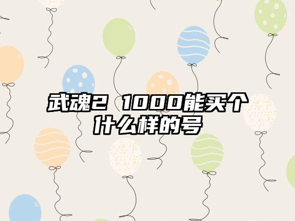 武魂2 1000能买个什么样的号