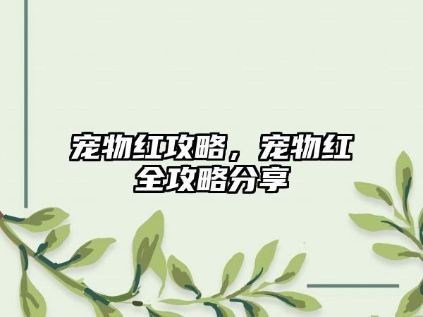 宠物红攻略，宠物红全攻略分享