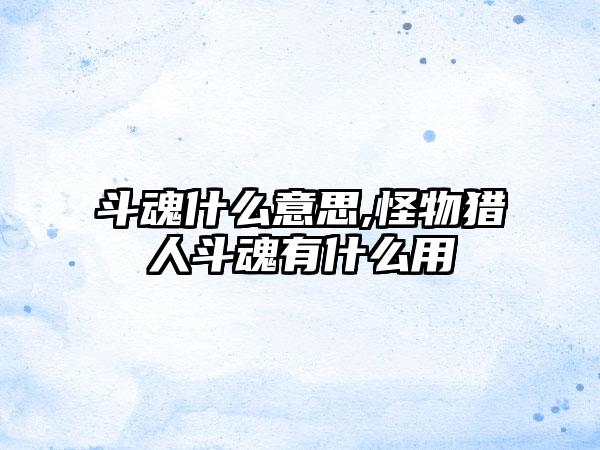 斗魂什么意思,怪物猎人斗魂有什么用