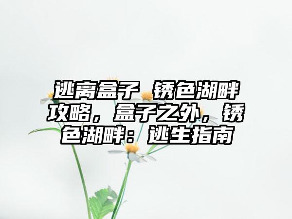 逃离盒子 锈色湖畔攻略，盒子之外，锈色湖畔：逃生指南
