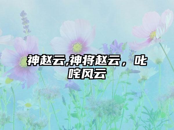 神赵云,神将赵云，叱咤风云