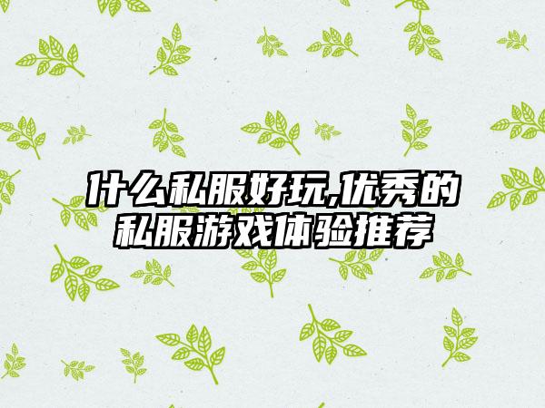 什么私服好玩,优秀的私服游戏体验推荐