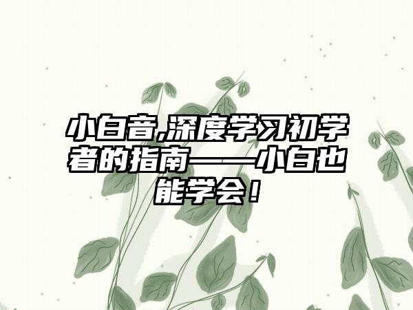 小白音,深度学习初学者的指南——小白也能学会！