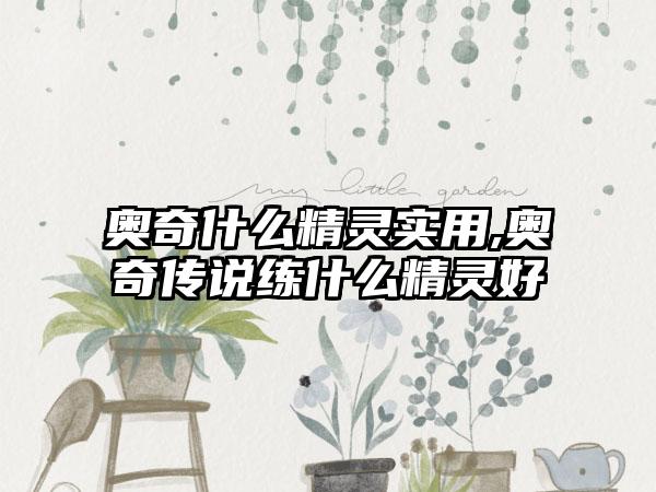 奥奇什么精灵实用,奥奇传说练什么精灵好