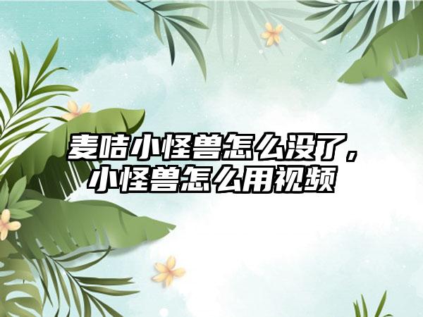 麦咭小怪兽怎么没了,小怪兽怎么用视频