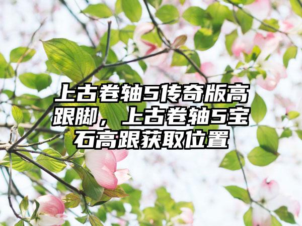 上古卷轴5传奇版高跟脚，上古卷轴5宝石高跟获取位置