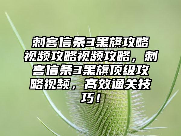 刺客信条3黑旗攻略视频攻略视频攻略，刺客信条3黑旗顶级攻略视频，高效通关技巧！