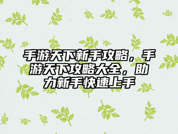 手游天下新手攻略，手游天下攻略大全，助力新手快速上手
